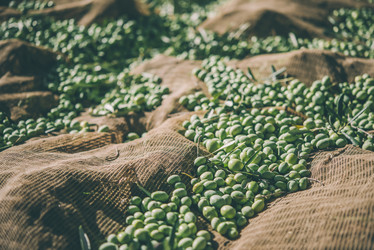 Similar image 10485456