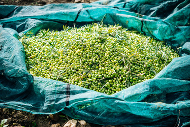 Similar image 10485460