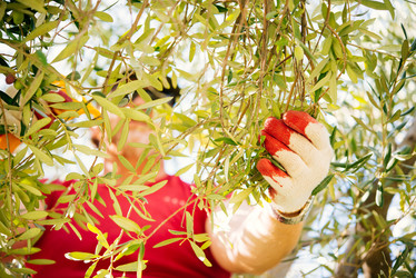 Similar image 10485467