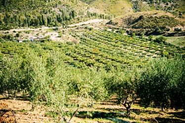 Similar image 10485517