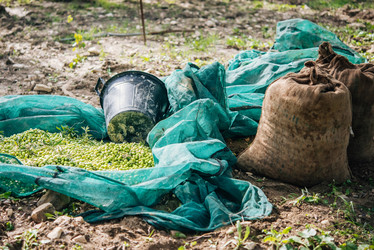 Similar image 10485536