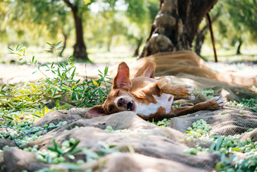 Similar image 10485539