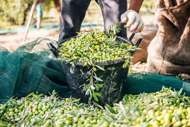 Similar image 10485547