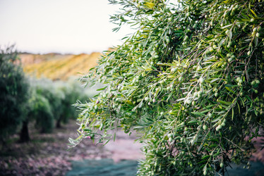 Similar image 10485575