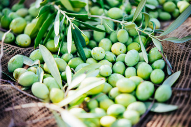 Similar image 10485576