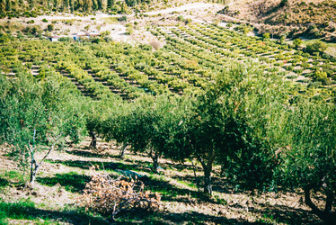 Similar image 10485593