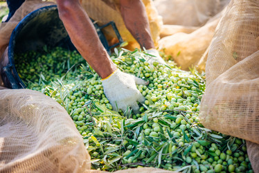 Similar image 10485607