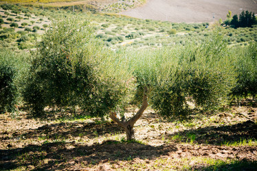 Similar image 10485609