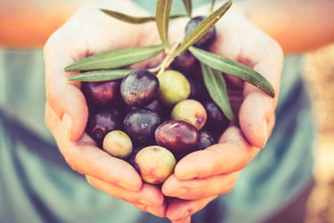 Similar image 10485626