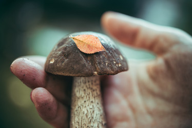 Similar image 10485690