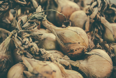 Similar image 10485693