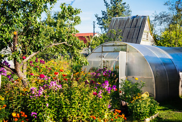 Similar image 10485698