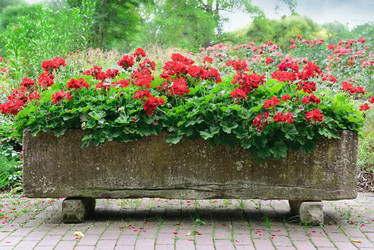 Similar image 10485812