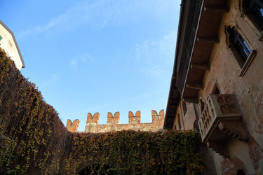 Similar image 10485816