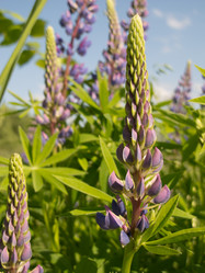 Similar image 10485829