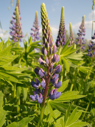 Similar image 10485830