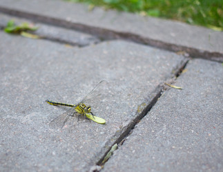 Similar image 10485832