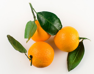 Similar image 10485846