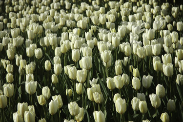 Similar image 10485872