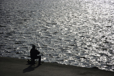 Similar image 10485873