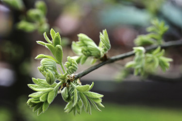 Similar image 10485874