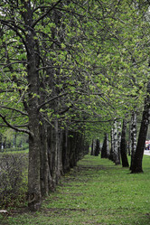 Similar image 10485875