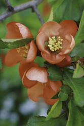 Similar image 10485876