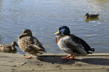 Similar image 10485889