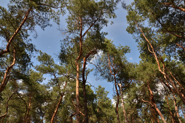 Similar image 10485896