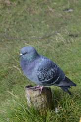 Similar image 10485908