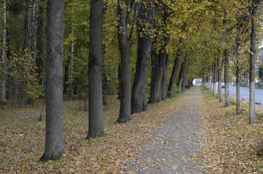 Similar image 10485912