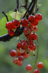 Similar image 10485920