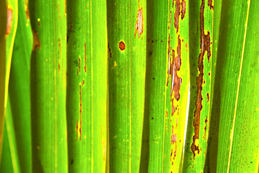 Similar image 10485937