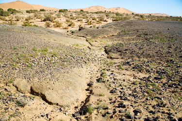 Similar image 10485954