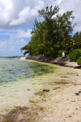 Similar image 10485965