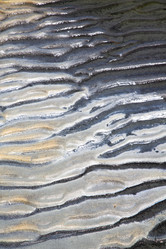 Similar image 10485976