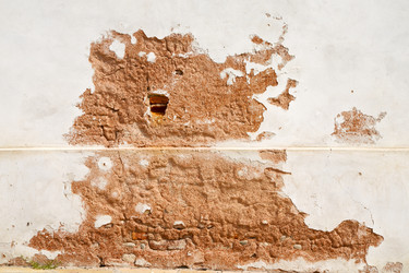 Similar image 10485984