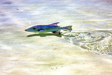 Similar image 10486016