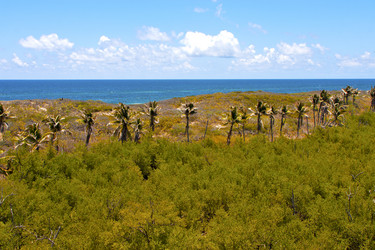 Similar image 10486026