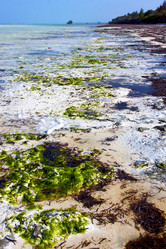 Similar image 10486034