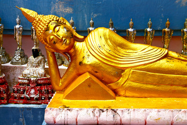 Similar image 10486099