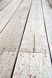 Similar image 10486528