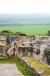 Similar image 10486545