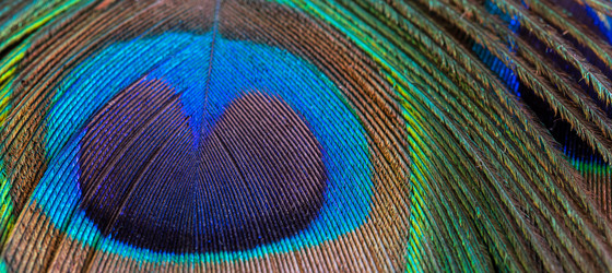 Similar image 10487028