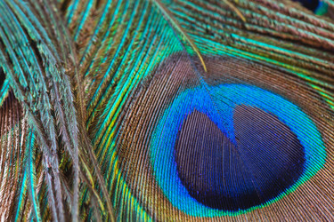 Similar image 10487029