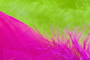 Similar image 10487044