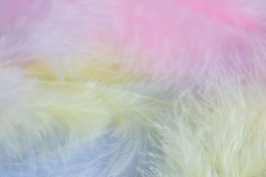 Similar image 10487046