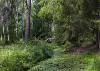 Similar image 10487668