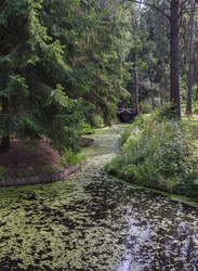 Similar image 10487681