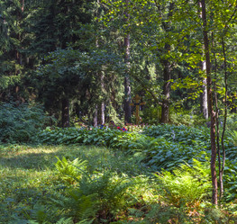 Similar image 10487688